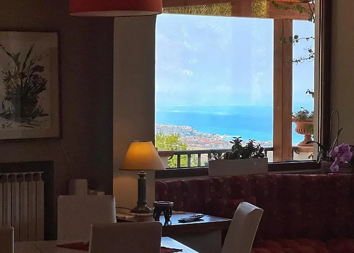 Zufro 维博瓦伦蒂亚